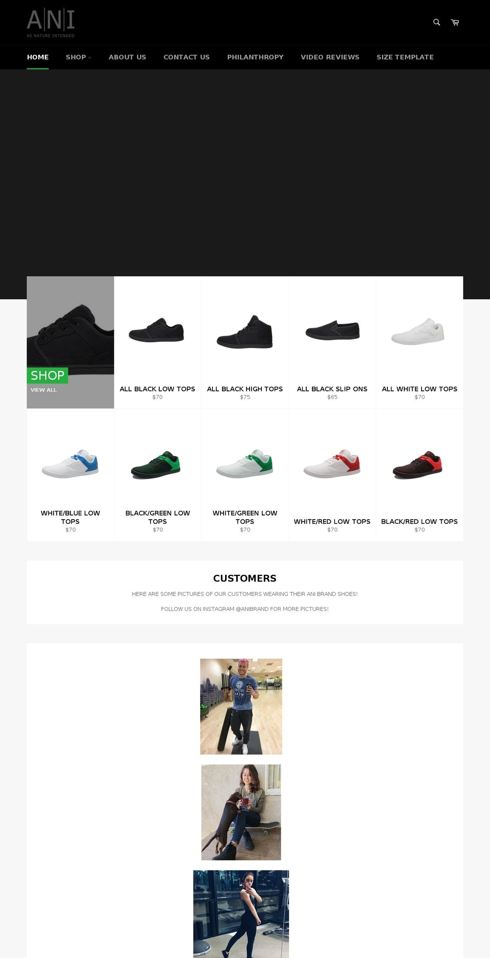 anibrand.com shopify website screenshot