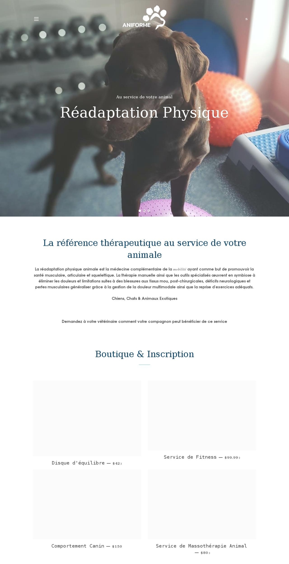 aniforme.com shopify website screenshot