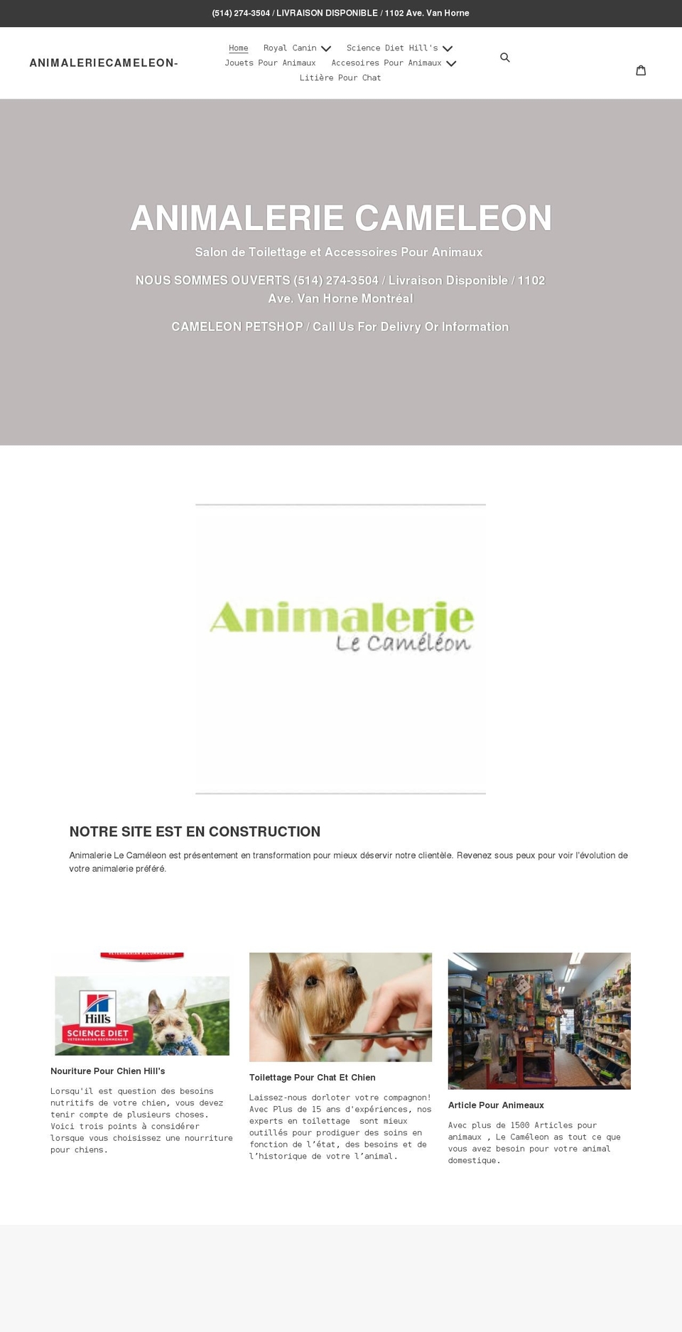 animaleriecameleon.com shopify website screenshot