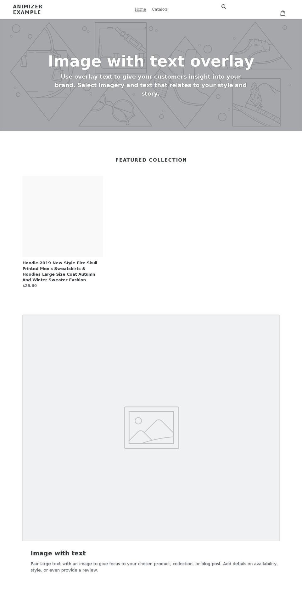 animizer-example.myshopify.com shopify website screenshot