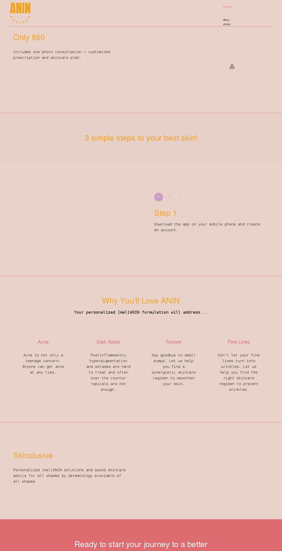 aninactives.com shopify website screenshot
