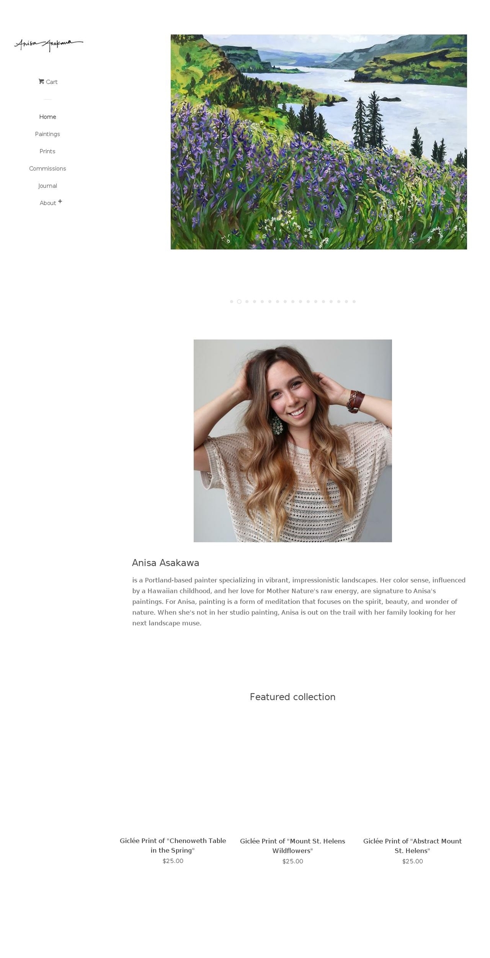 anisaasakawa.com — Shopify storefront screenshot