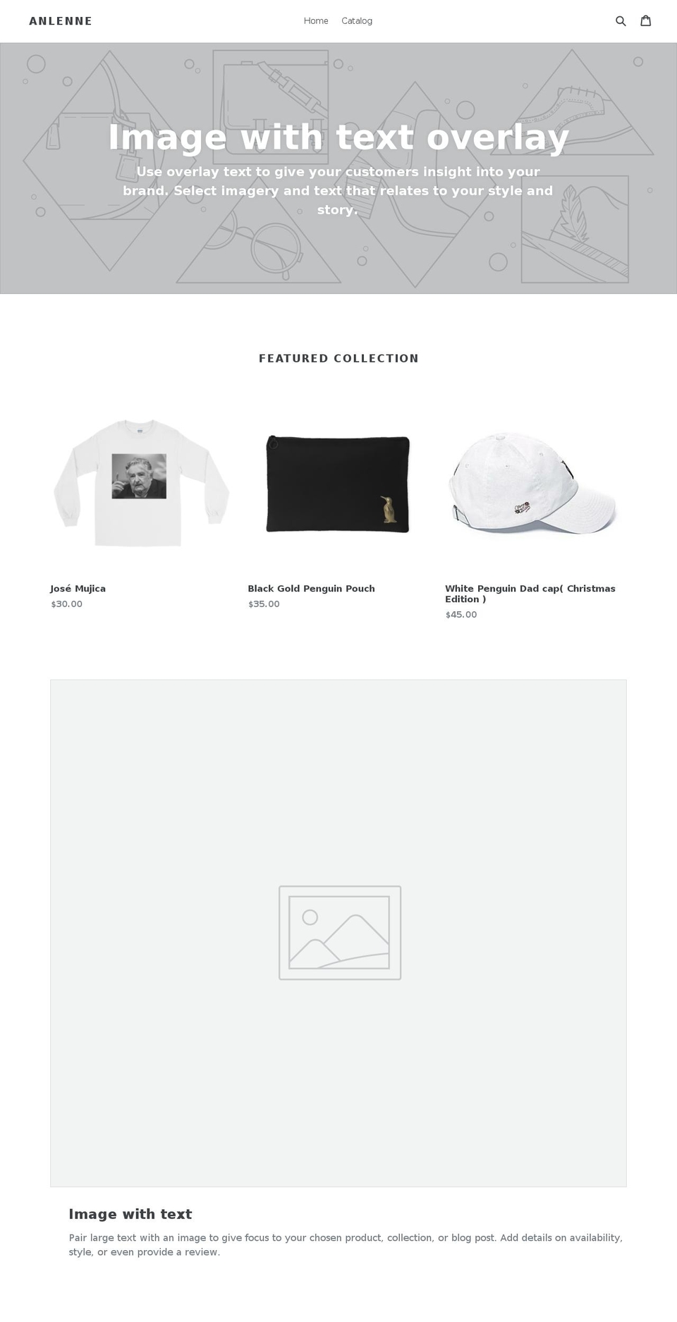 anlenne.com shopify website screenshot