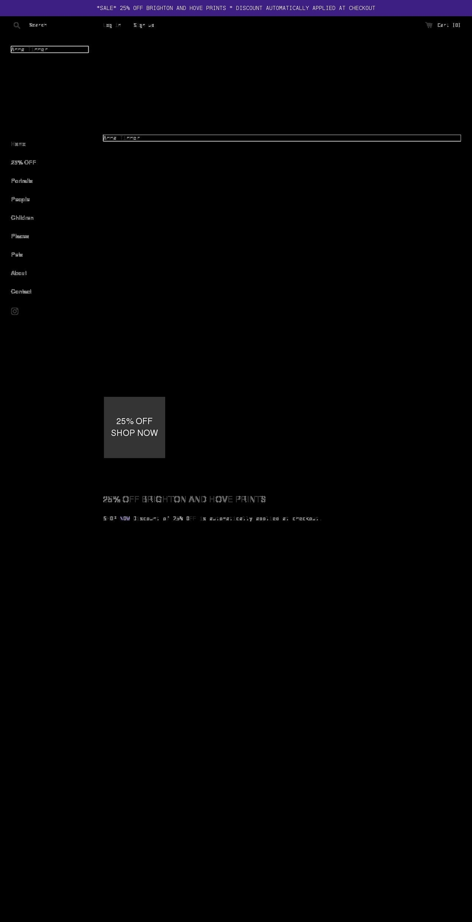 annatinner.com shopify website screenshot