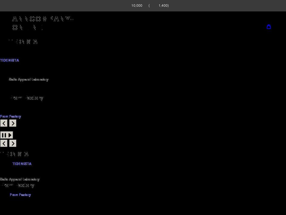 anncompany-online.com shopify website screenshot
