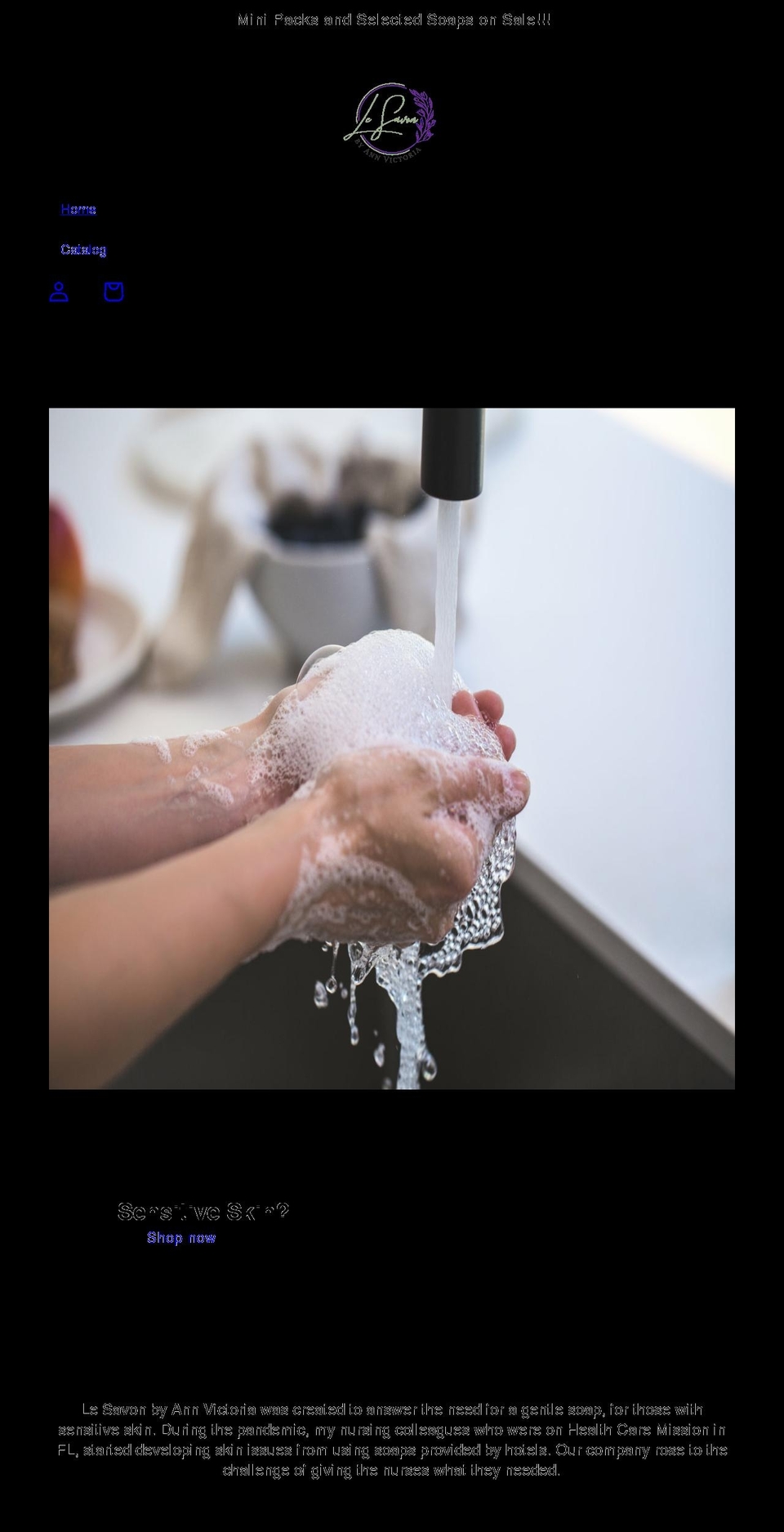 annvictoria.com shopify website screenshot