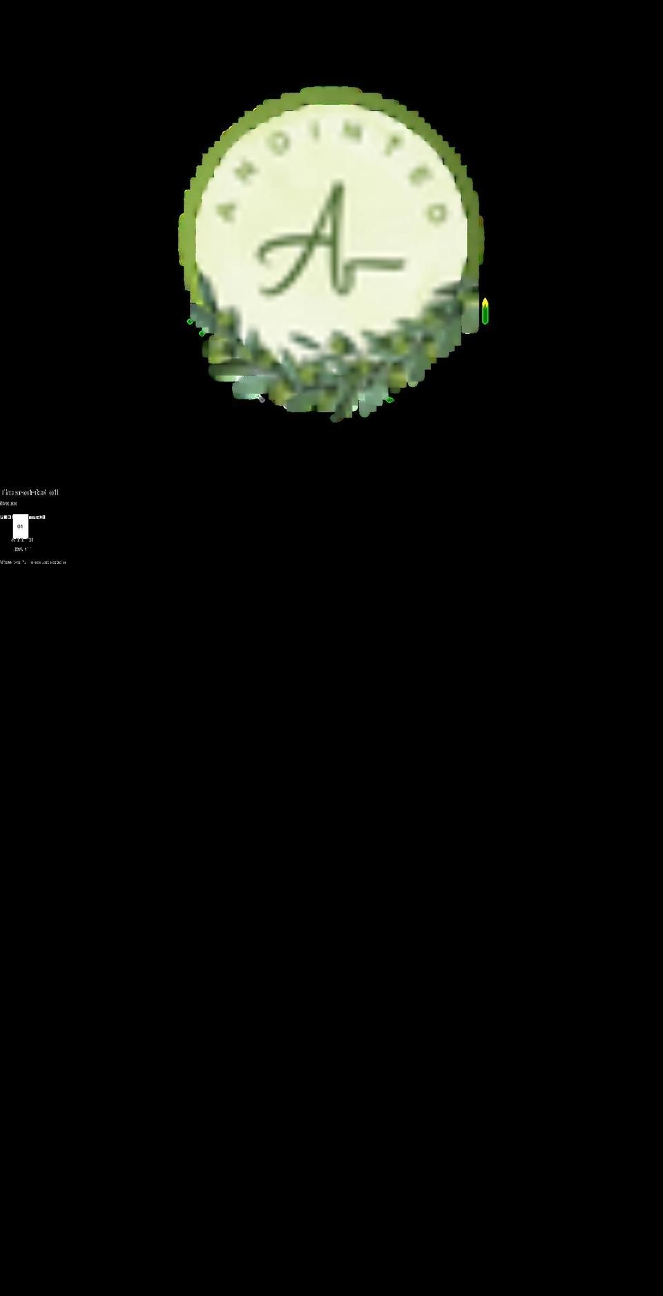anointed.shop shopify website screenshot