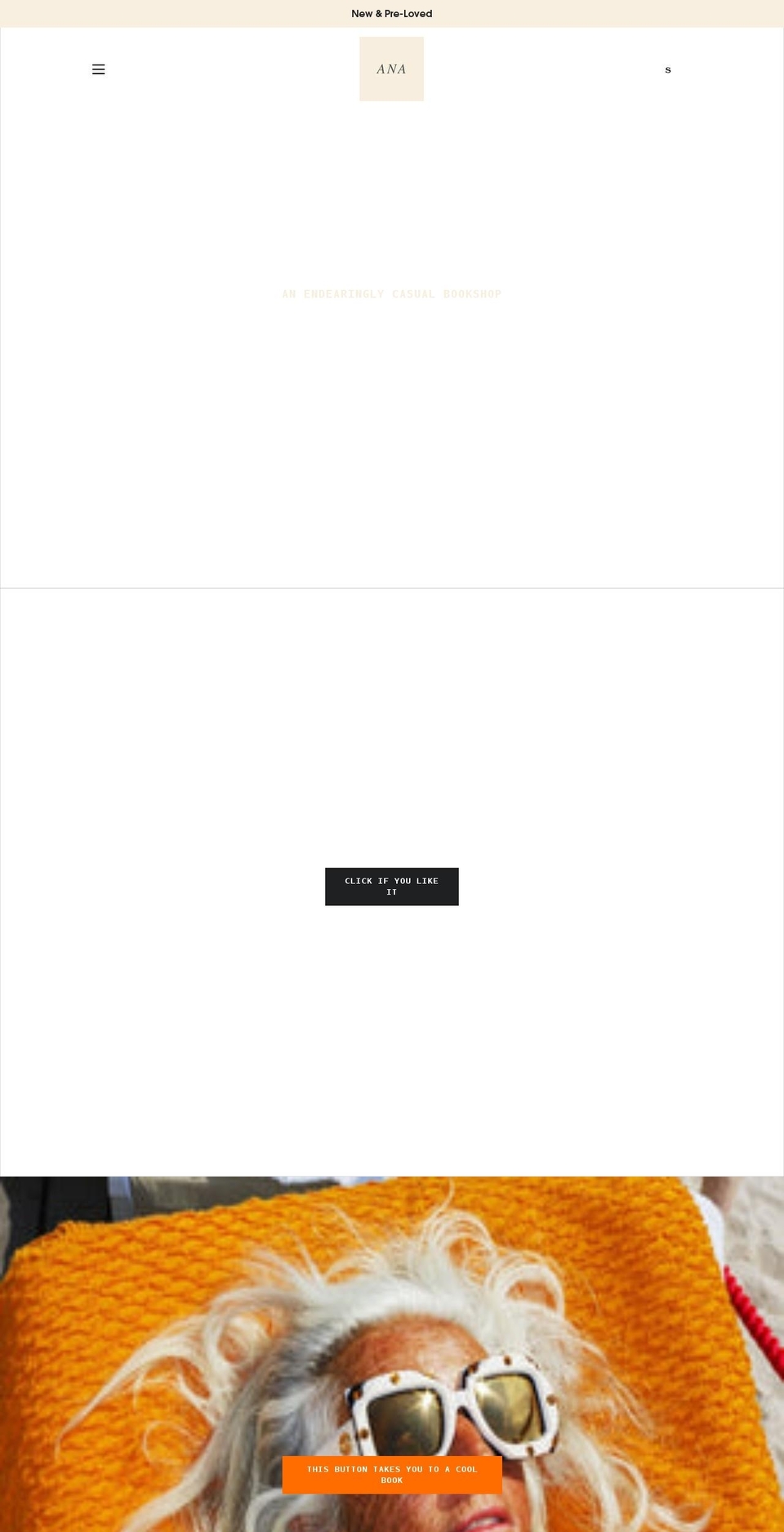 anovelafternoon.com shopify website screenshot