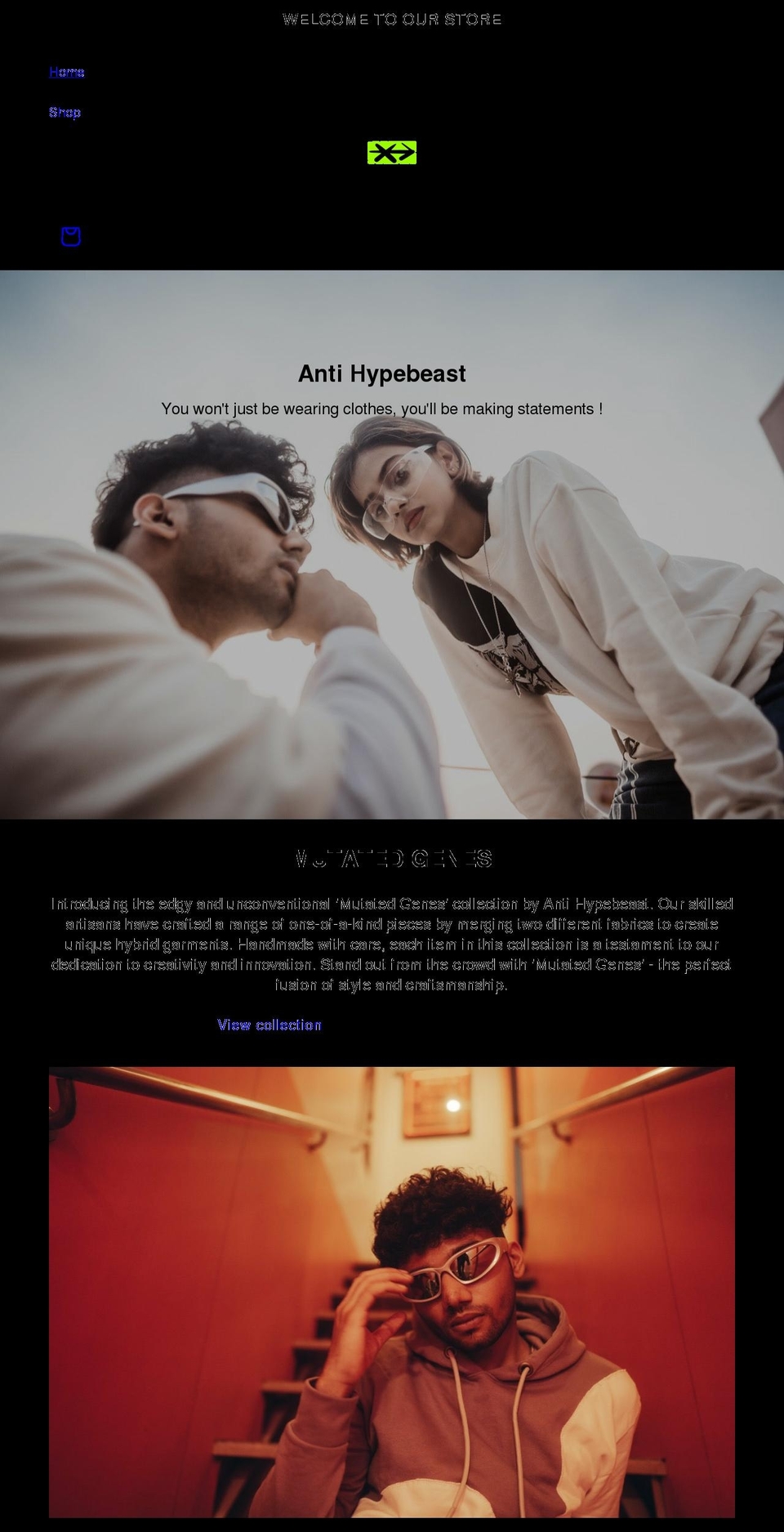 antihypebeast.com — Shopify storefront screenshot