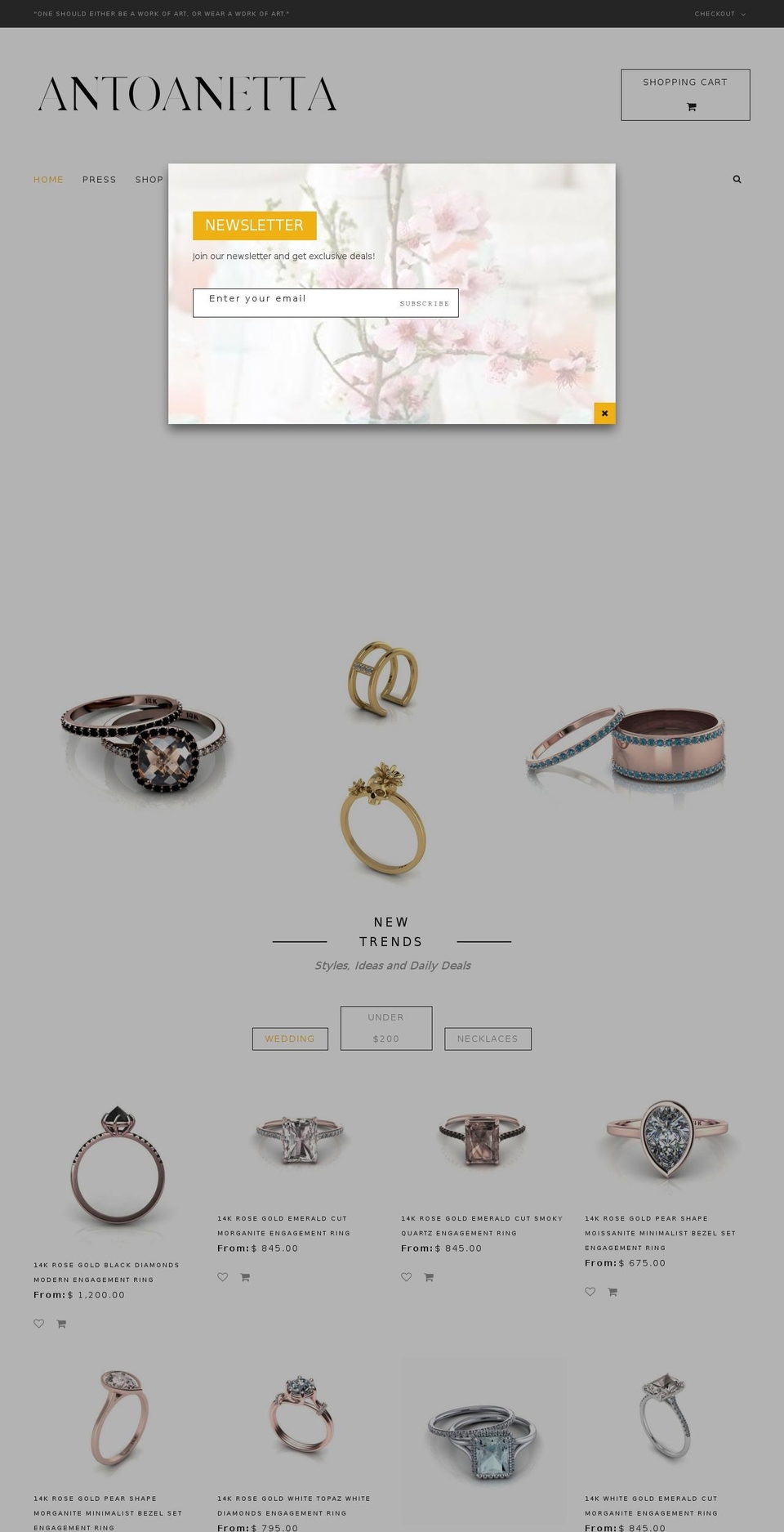 Expression Shopify theme site example antoanetta.com