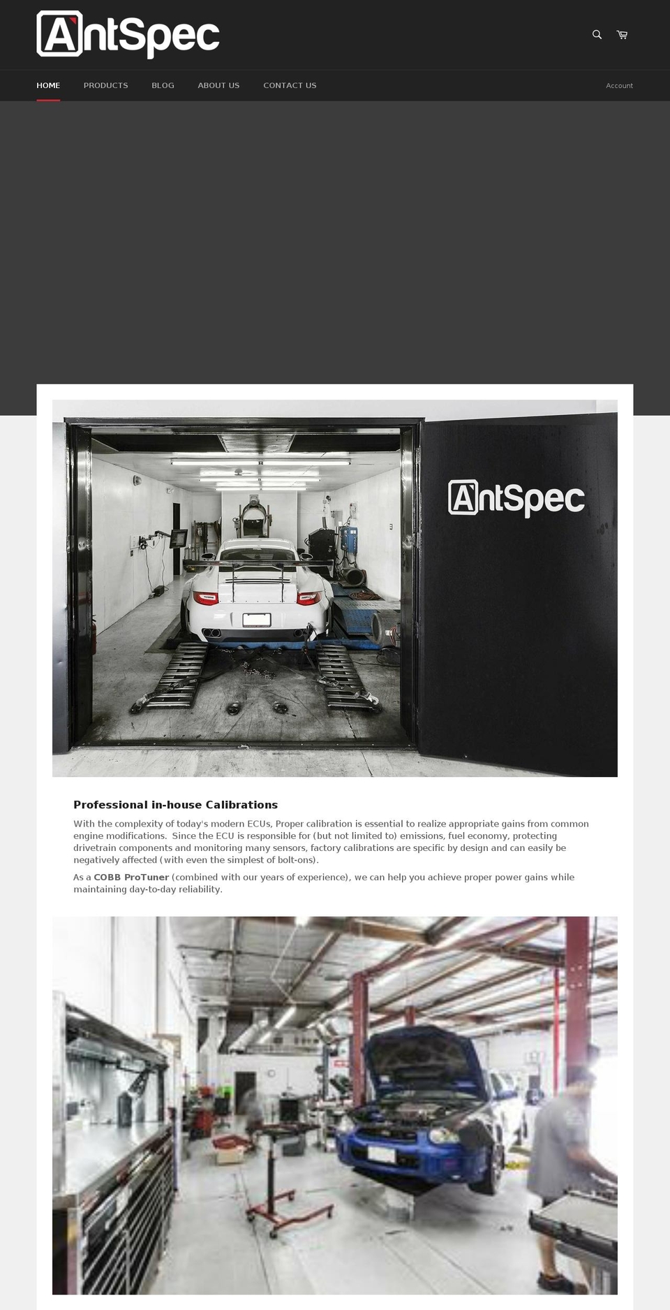 antspec.net shopify website screenshot