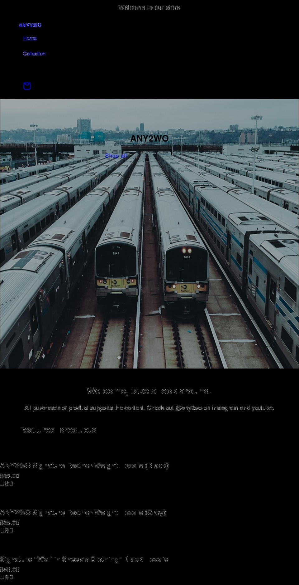 any2wo.com shopify website screenshot