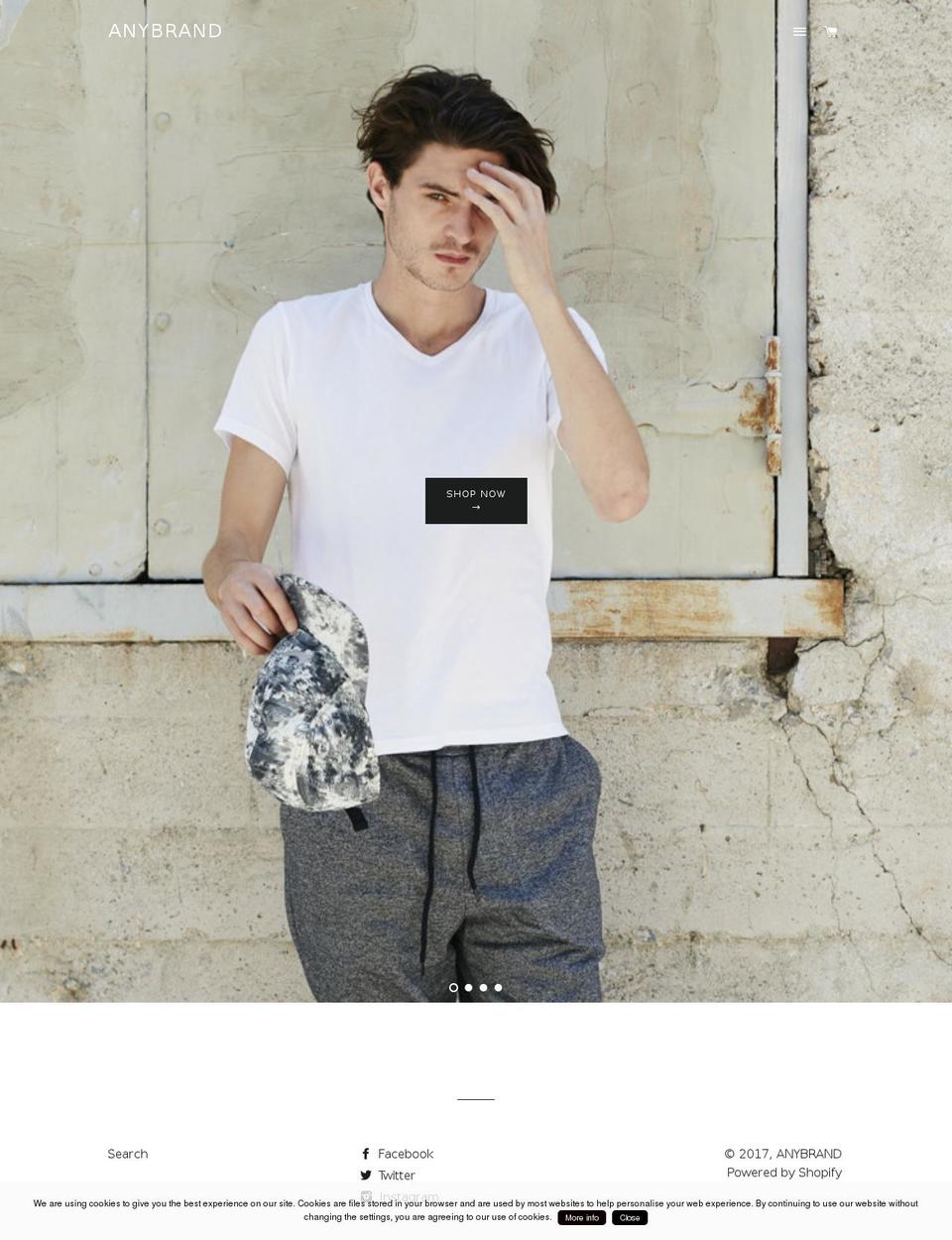 anybrandnewyork.com shopify website screenshot