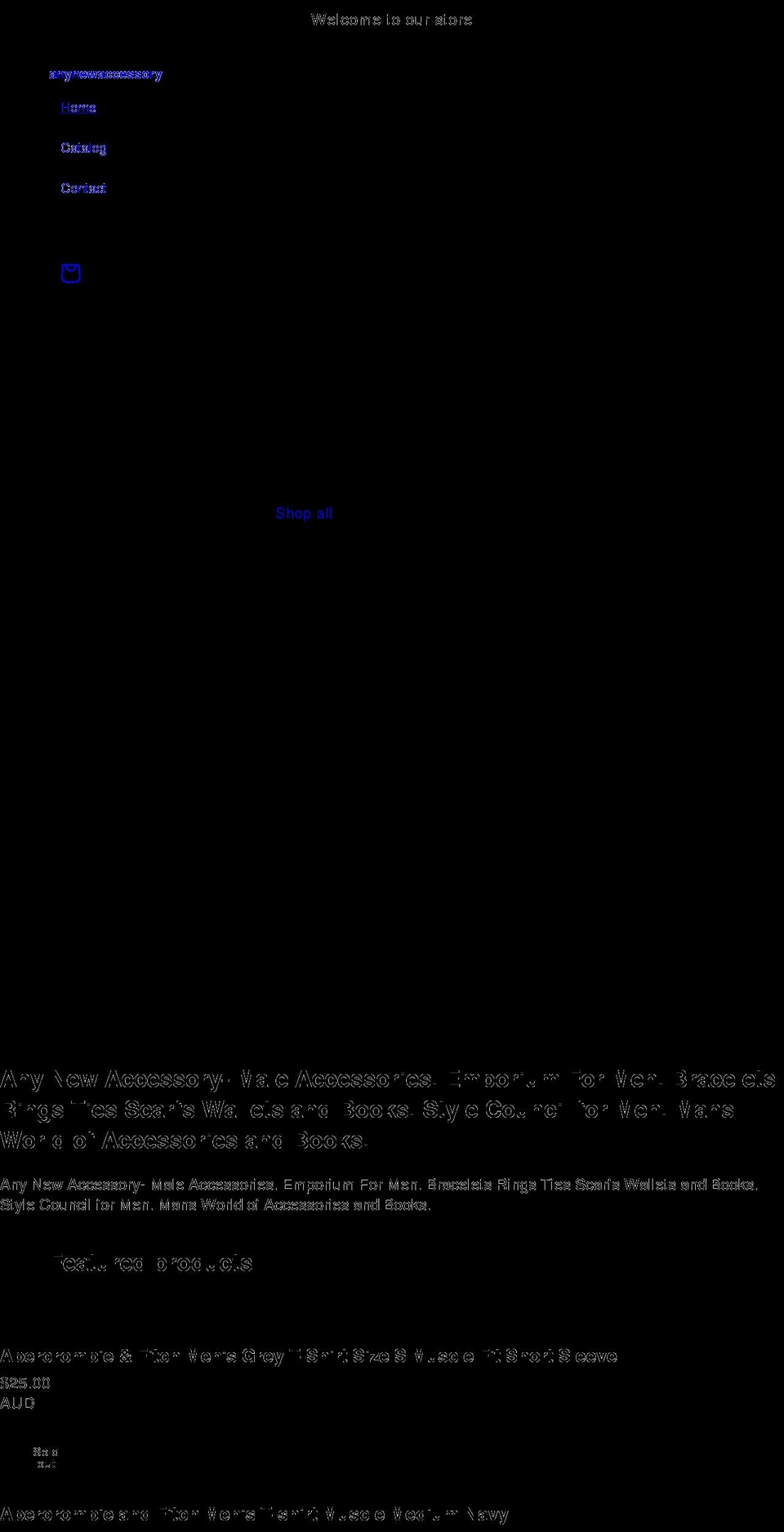 anynewaccessory.com shopify website screenshot