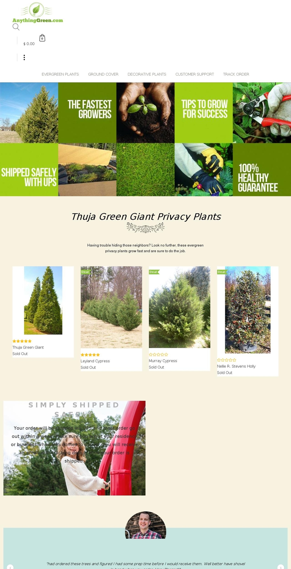 anythingreen.com shopify website screenshot