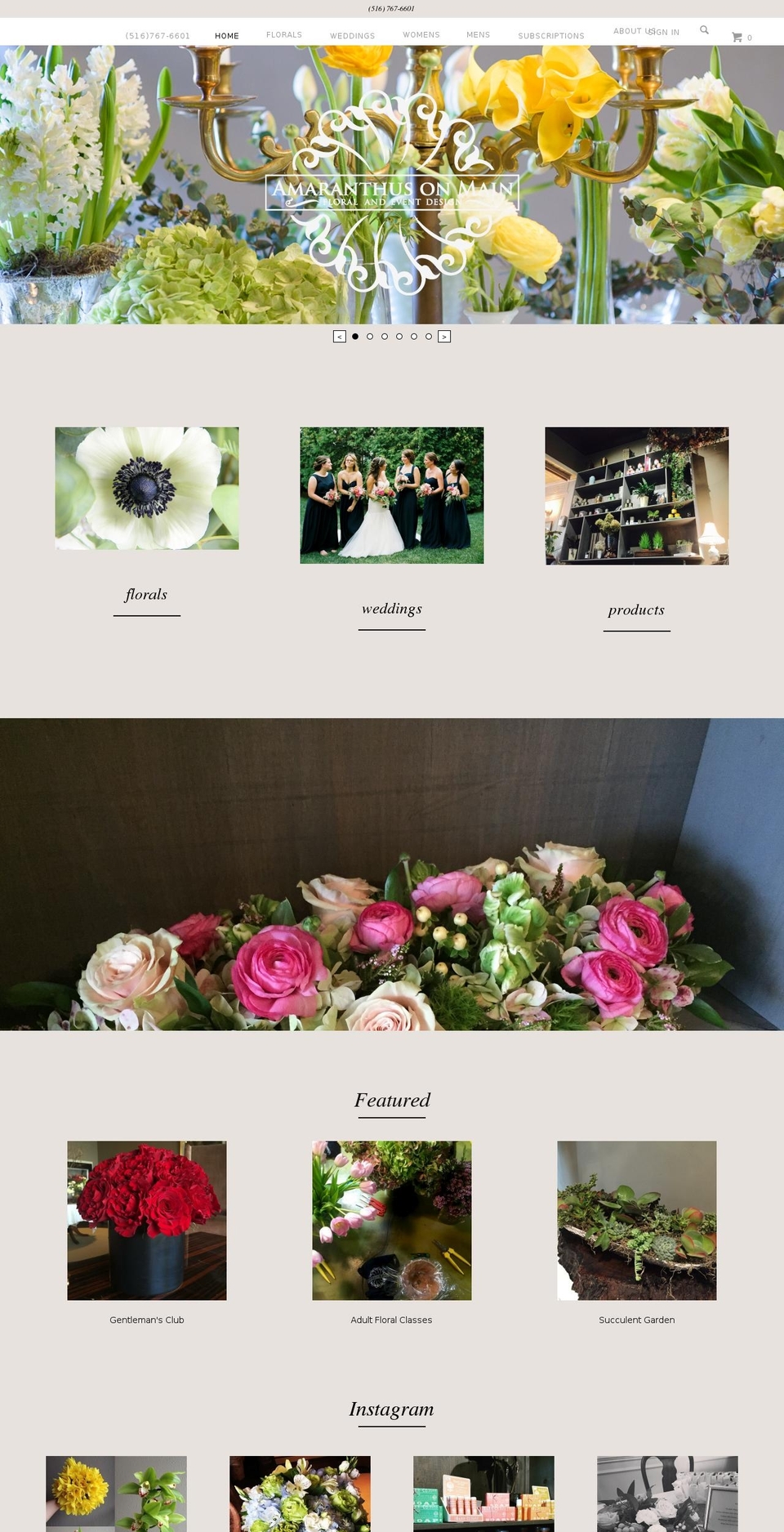 aonmain.com shopify website screenshot