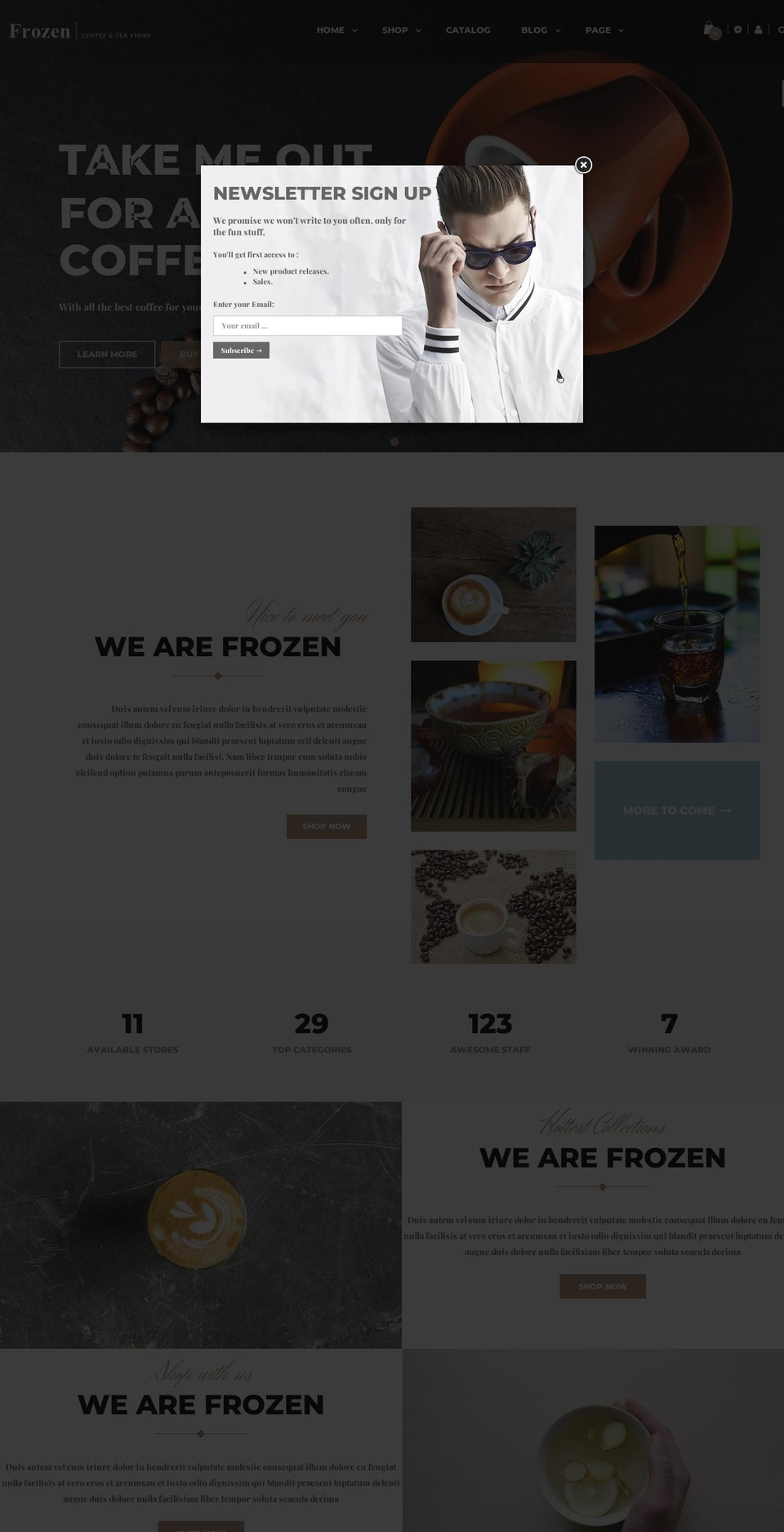 ap-frozen.myshopify.com shopify website screenshot