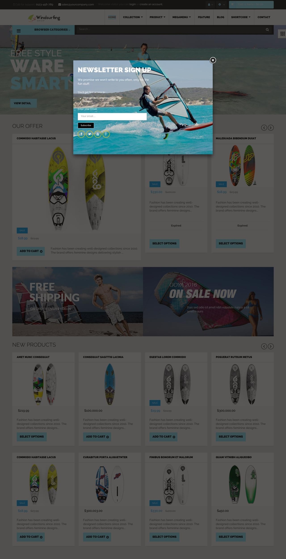 ap-windsrufing.myshopify.com shopify website screenshot