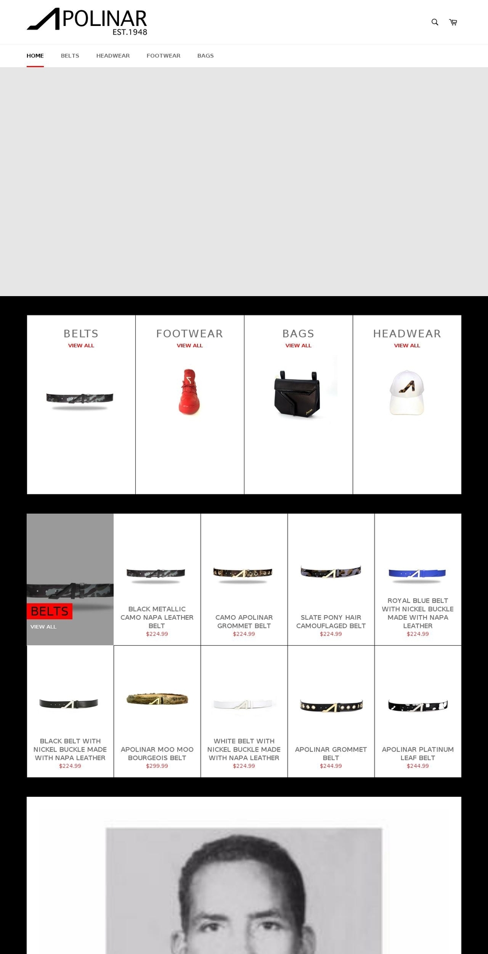 Minimog Shopify theme site example apolinar1948.com