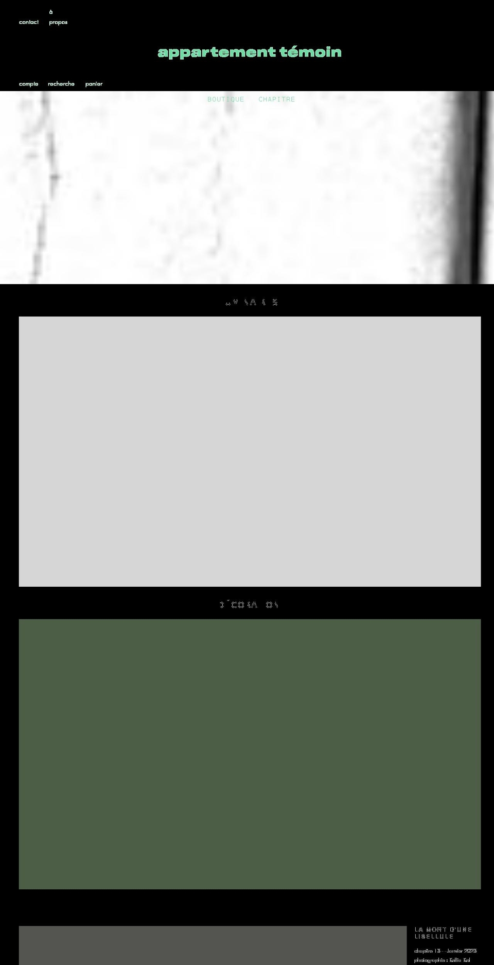appartementtemoin.com shopify website screenshot