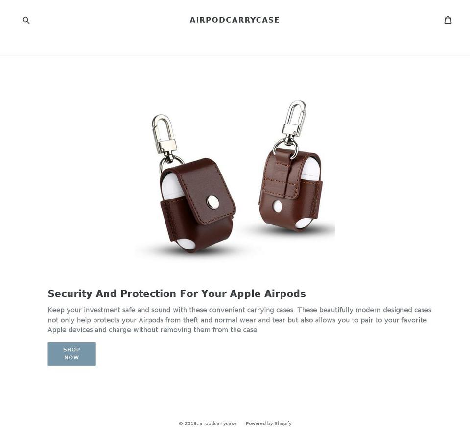 appleairpodcase.com shopify website screenshot