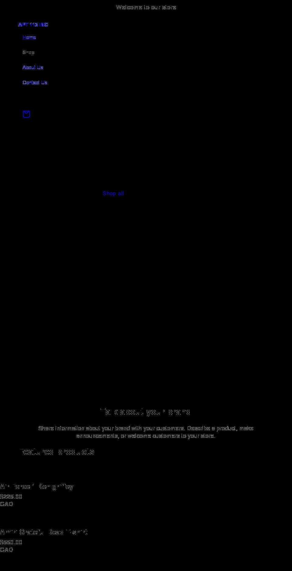 apt113inc.com shopify website screenshot