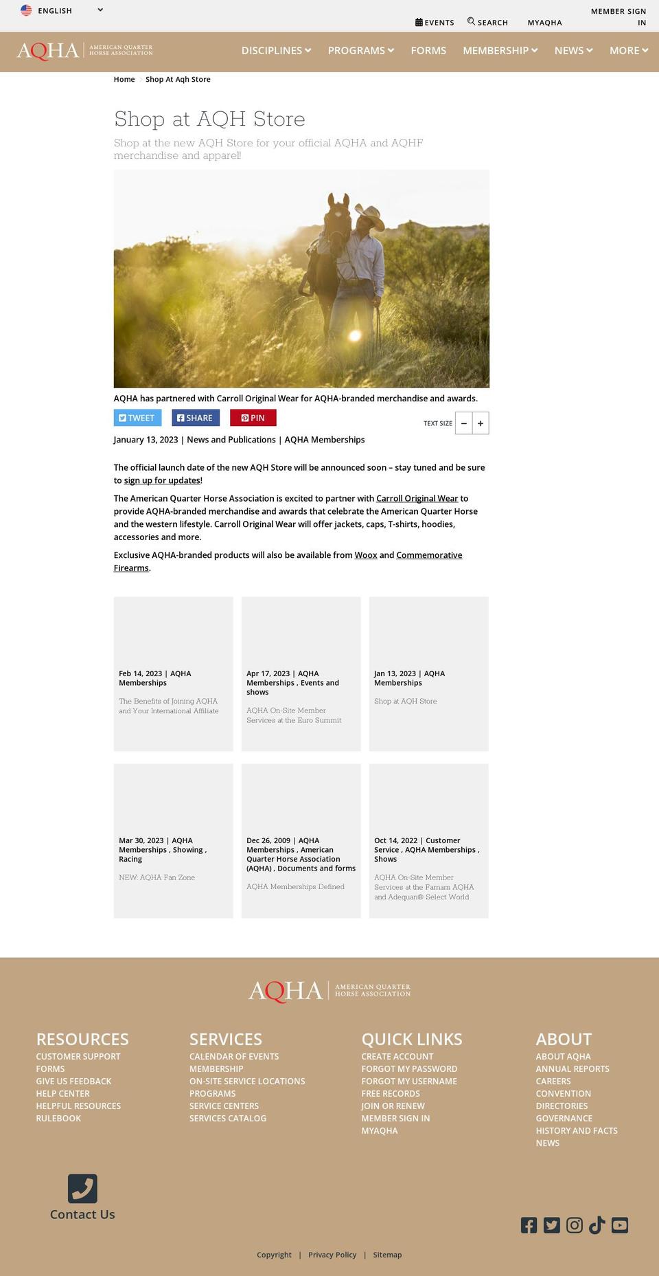 aqhstore.com — Shopify storefront screenshot
