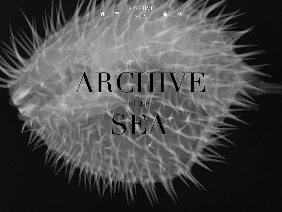 archiveofthesea.com shopify website screenshot