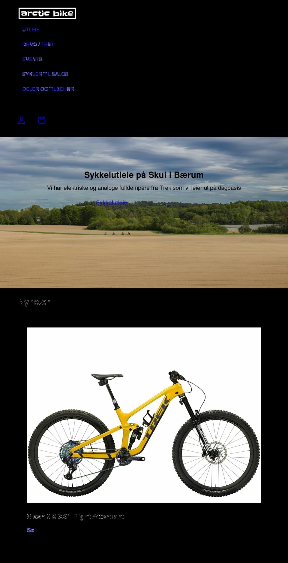arctic.bike shopify website screenshot