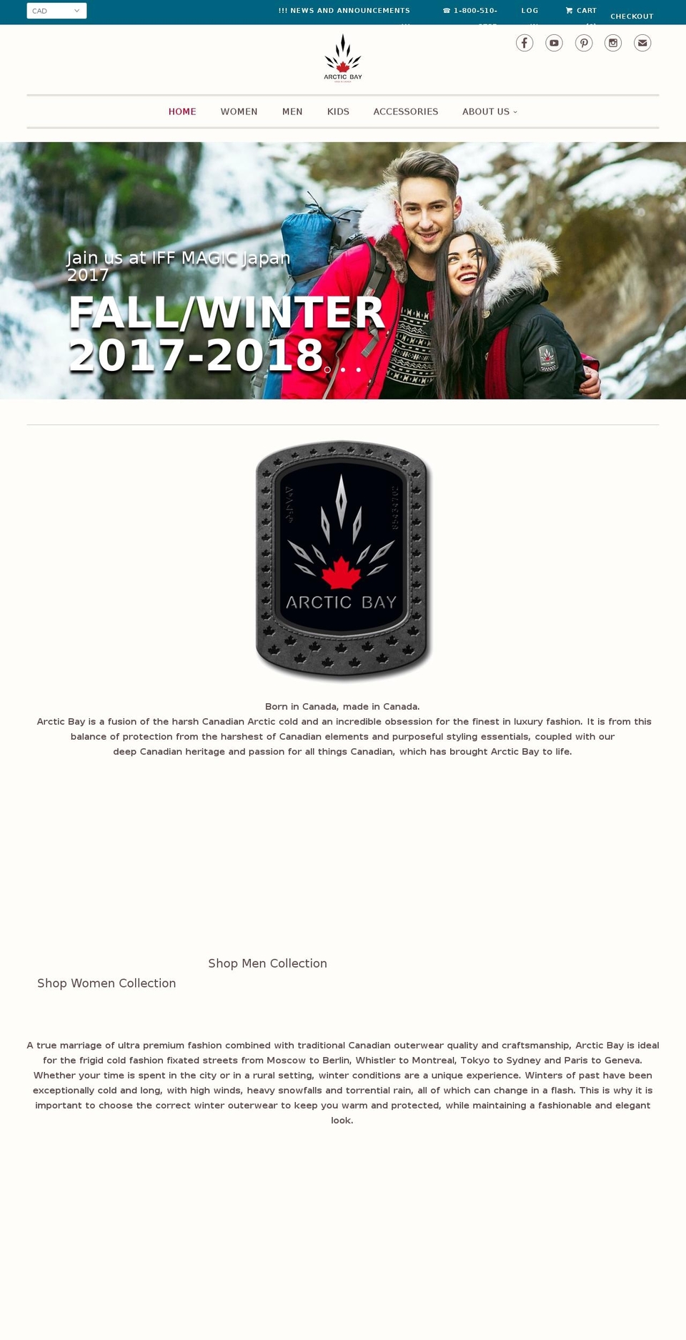 arcticbayco.com shopify website screenshot