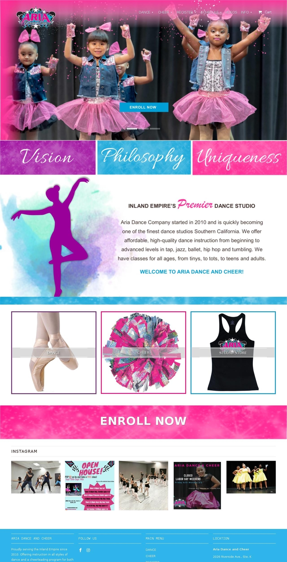 ariadanceandcheer.com — Shopify storefront screenshot