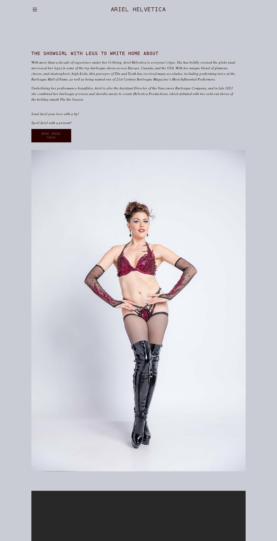 arielhelvetica.com shopify website screenshot