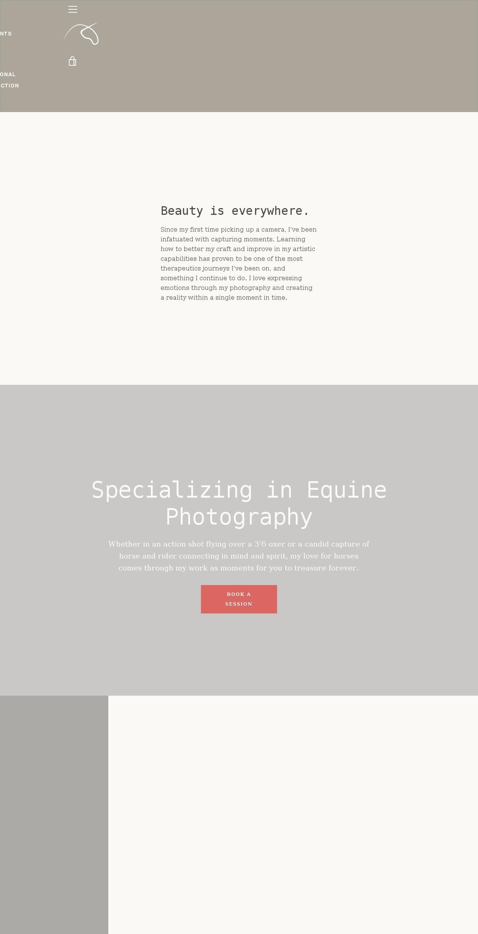 arielkorin.com shopify website screenshot