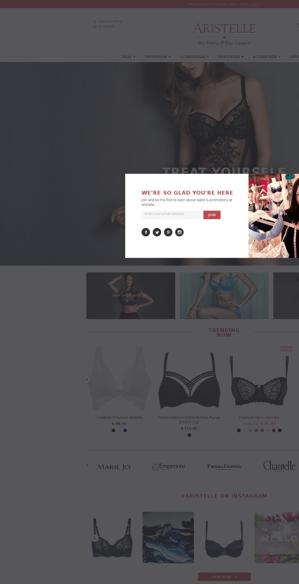 aristelle.com shopify website screenshot
