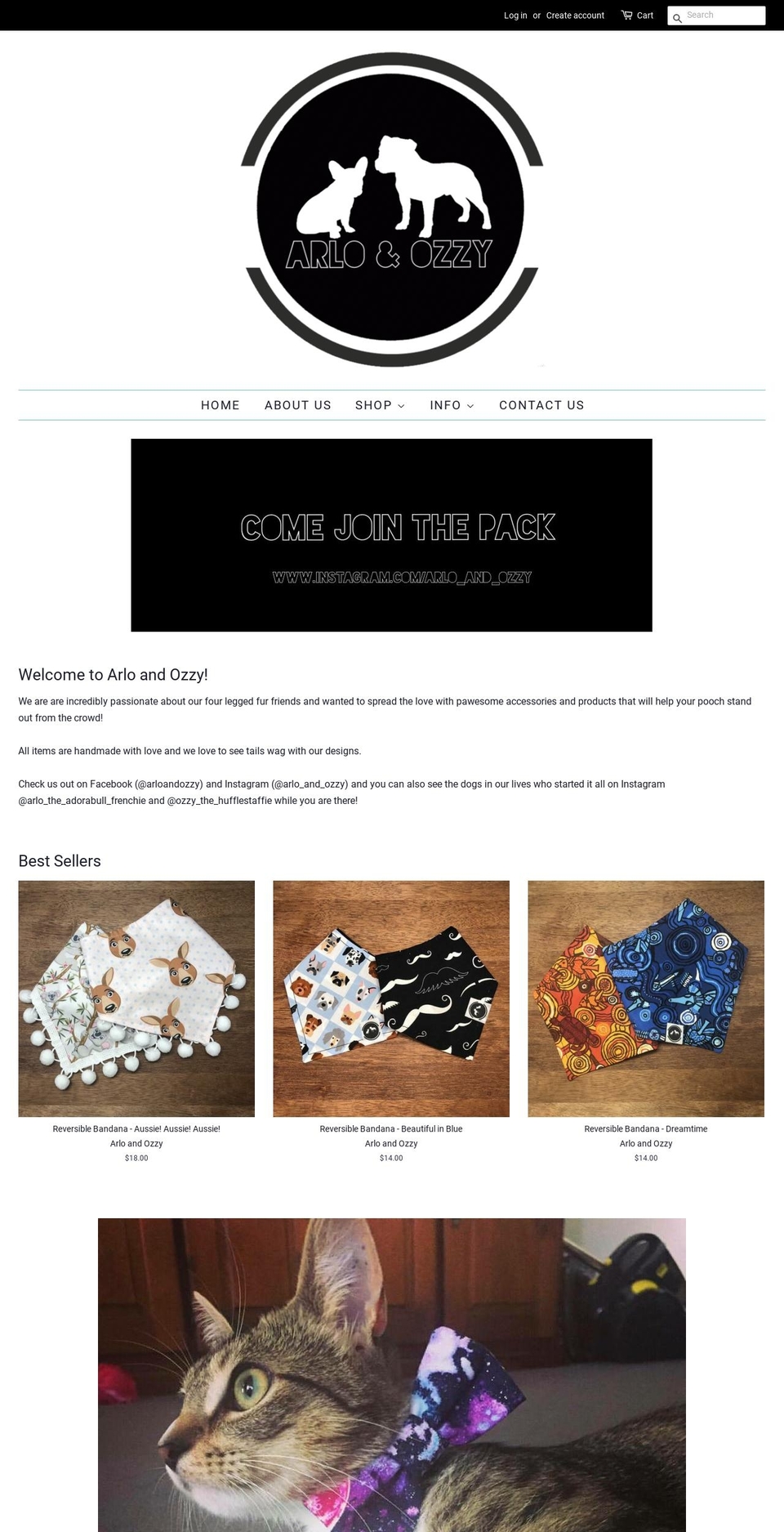 arloandozzy.com — Shopify storefront screenshot