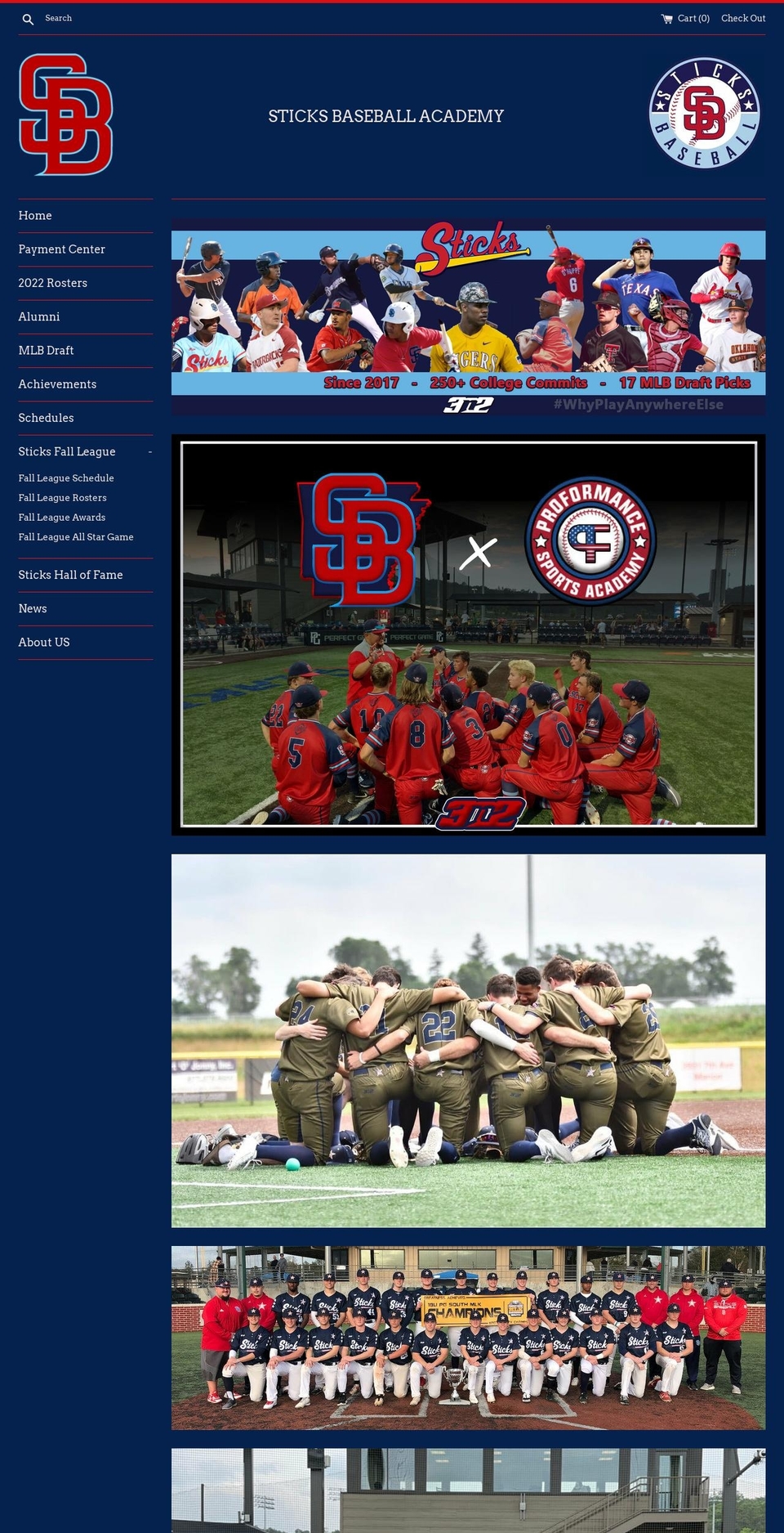 arsticksbaseball.myshopify.com shopify website screenshot