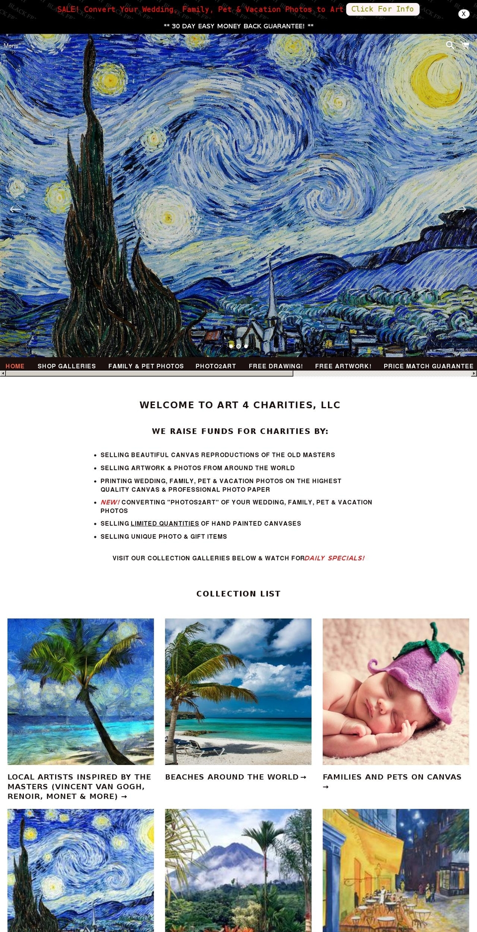 art4charities.net shopify website screenshot