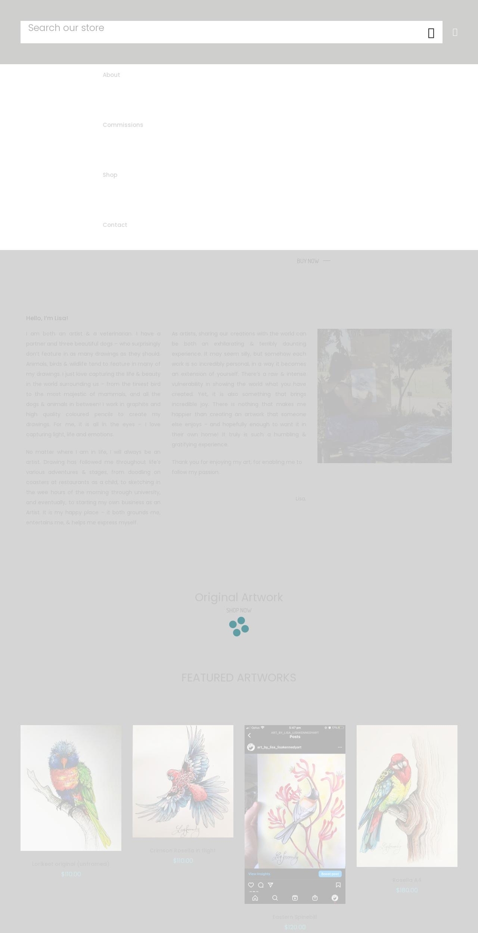 artbylisa.com.au shopify website screenshot