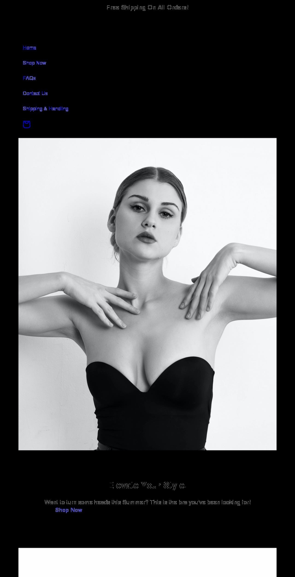 arteeza.com shopify website screenshot