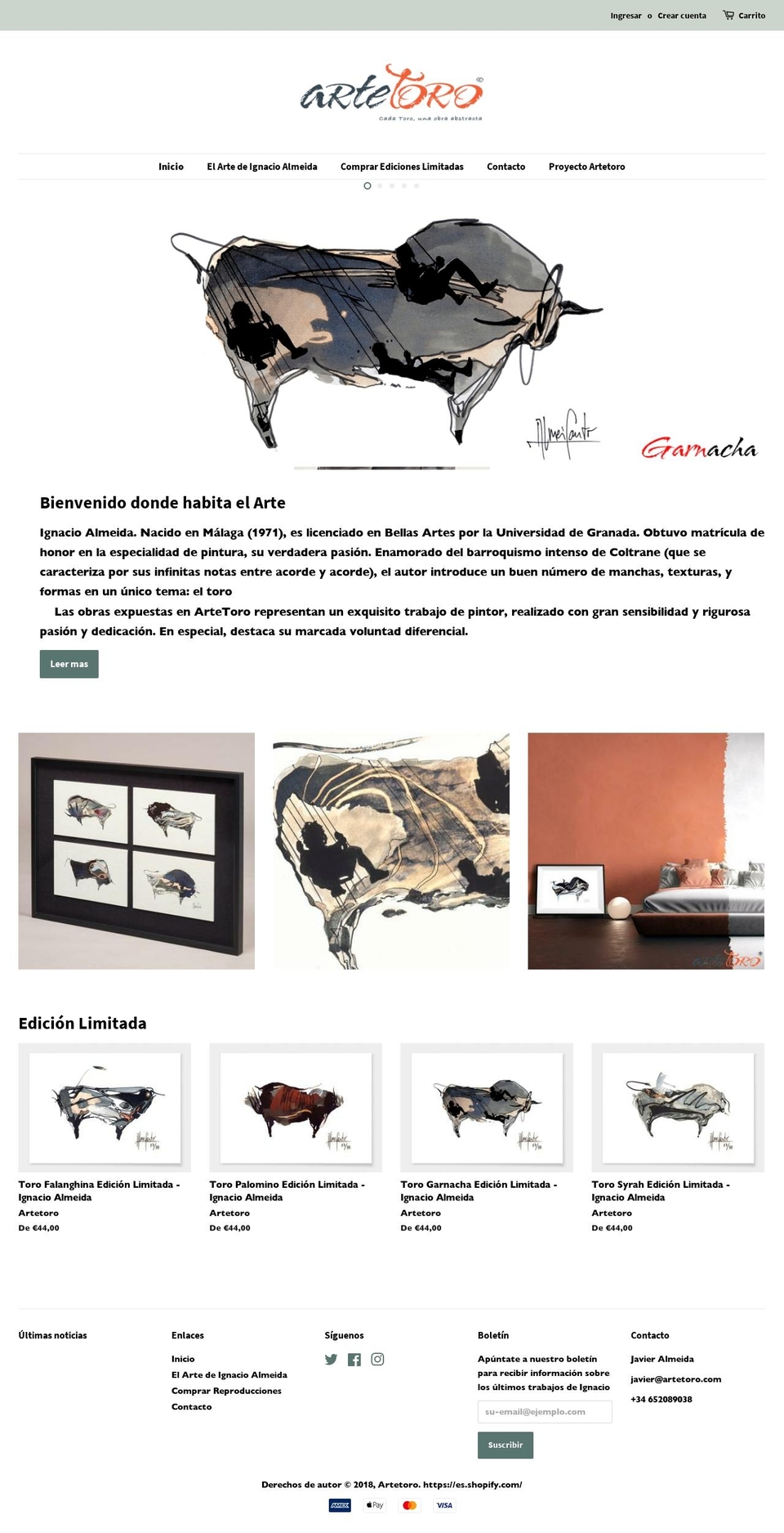artetoro.com shopify website screenshot