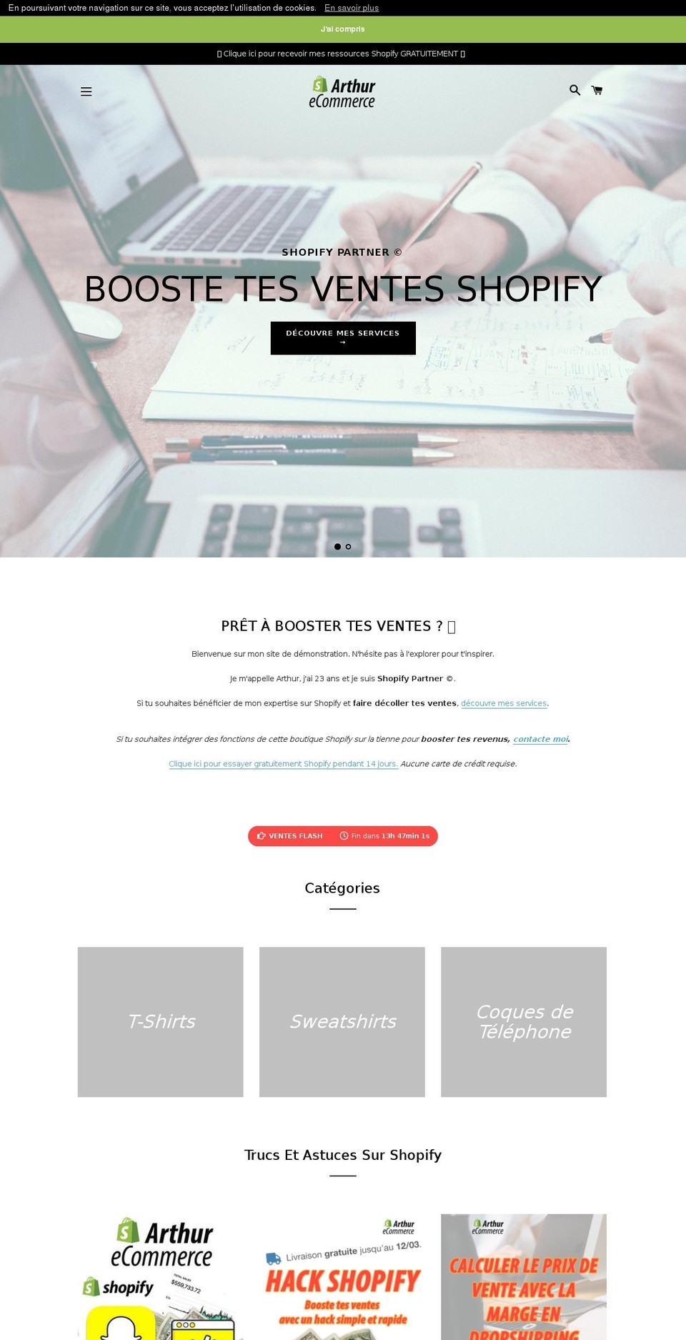 arthur-ecommerce.com shopify website screenshot