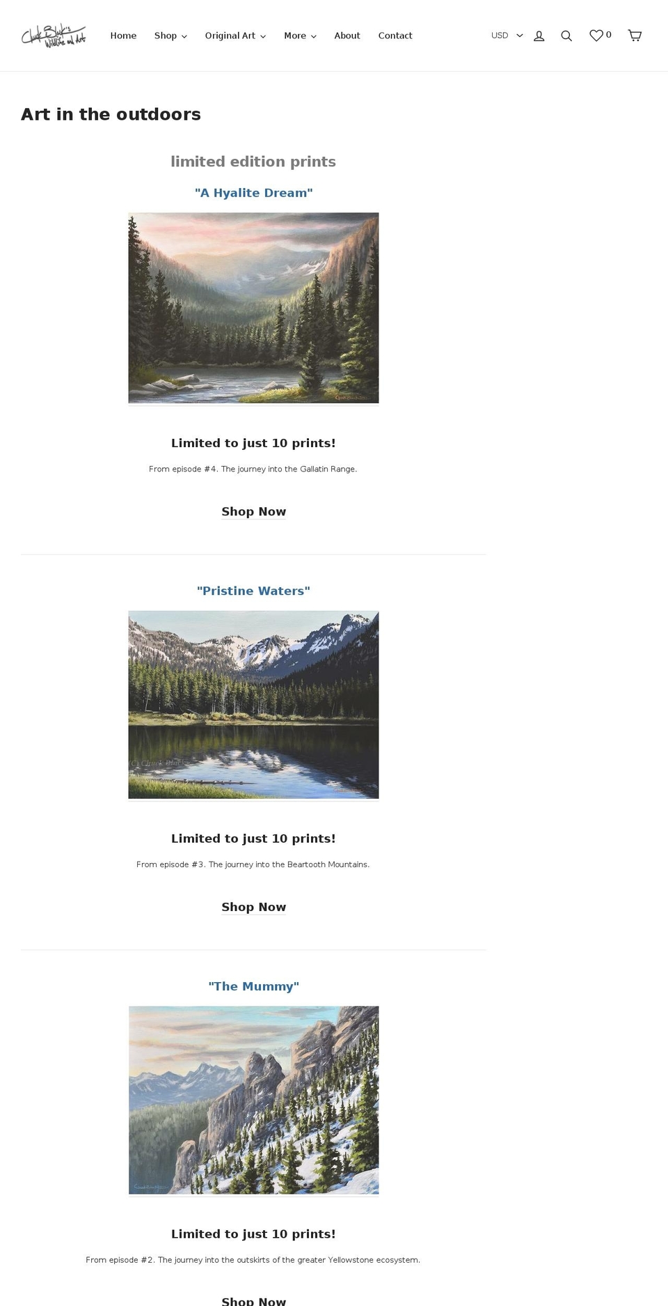 artintheoutdoors.com — Shopify storefront screenshot