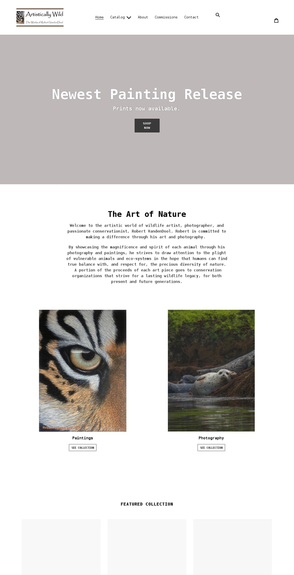 artisticallywild.com shopify website screenshot