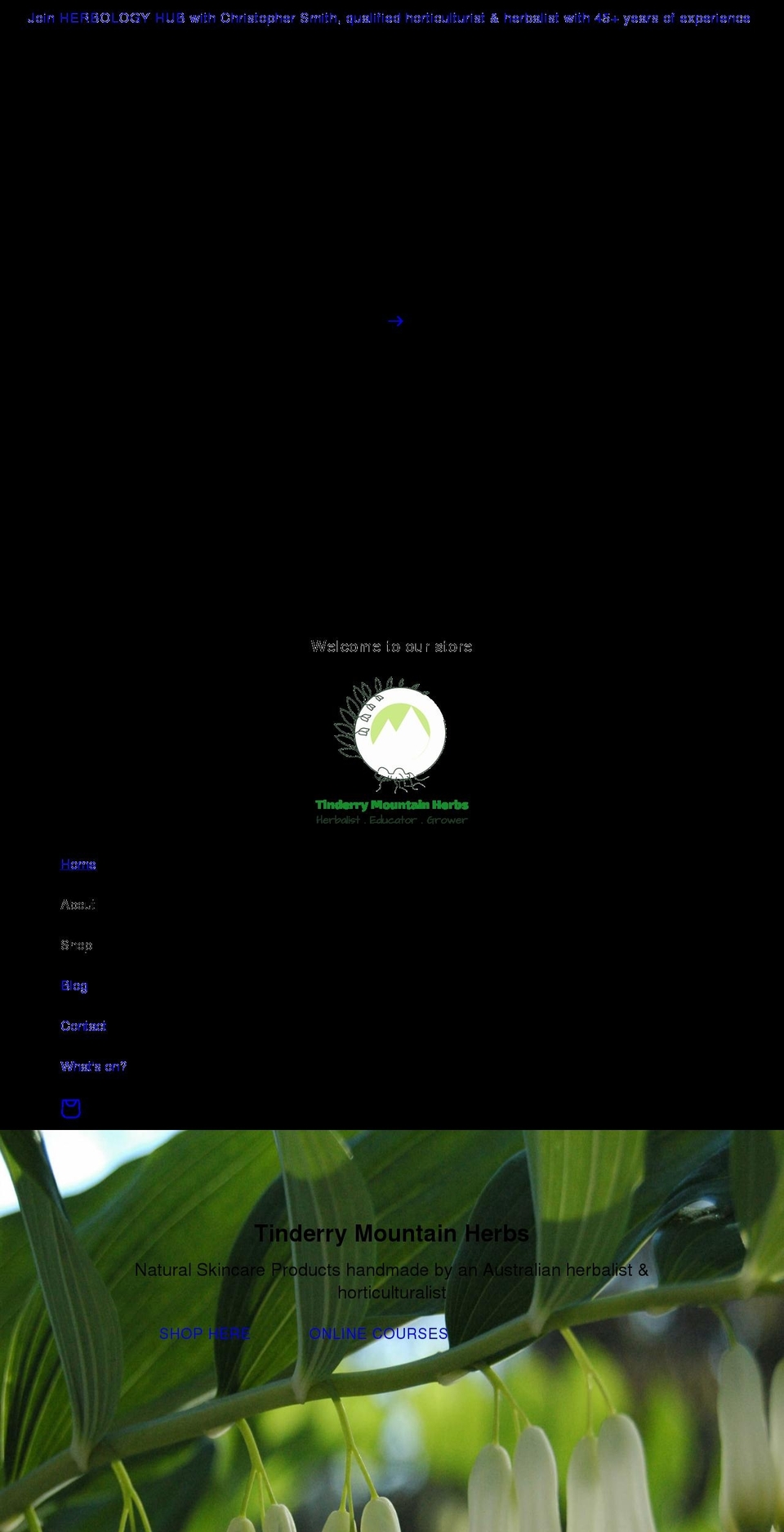 artofion.com.au shopify website screenshot