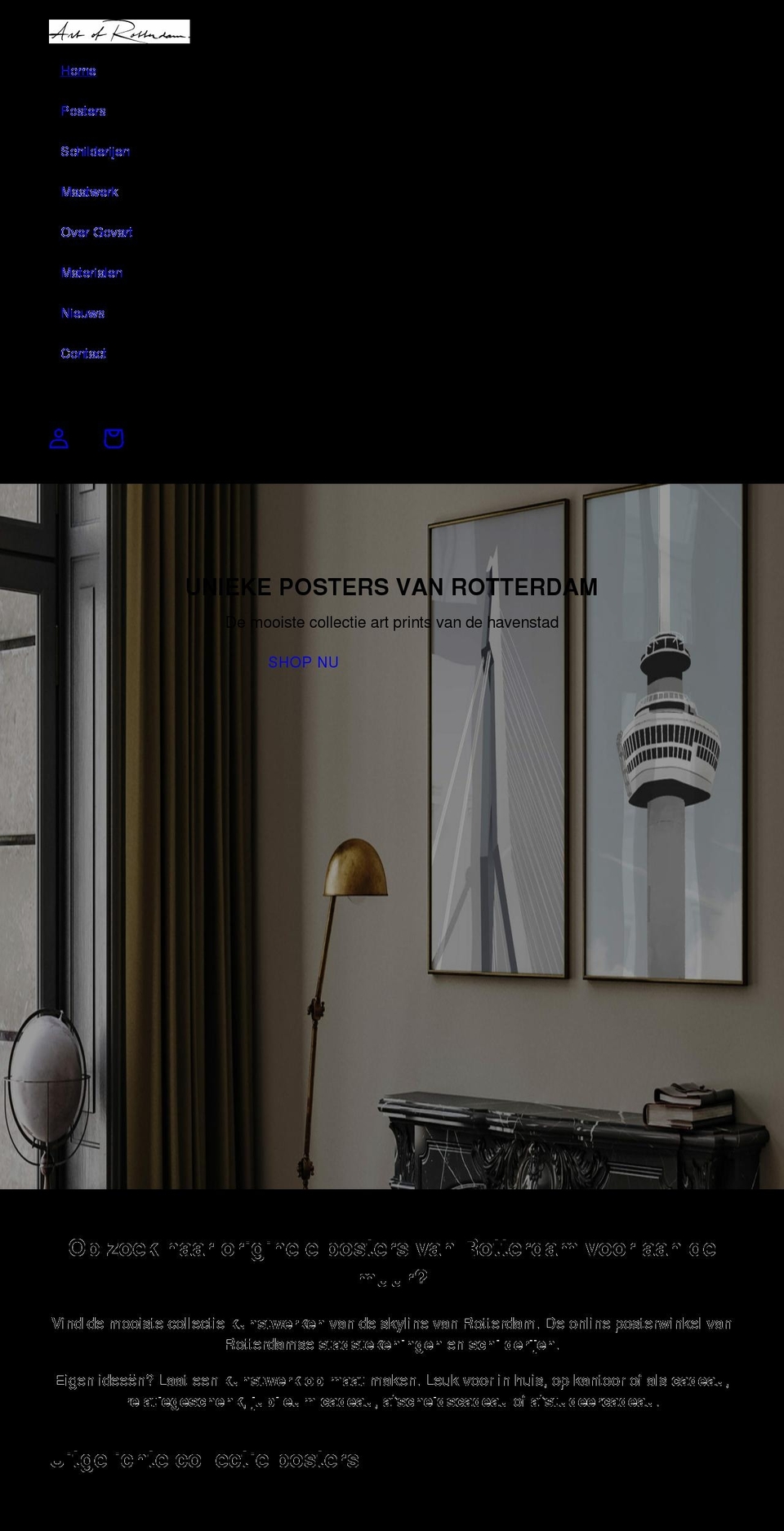 artofrotterdam.com shopify website screenshot