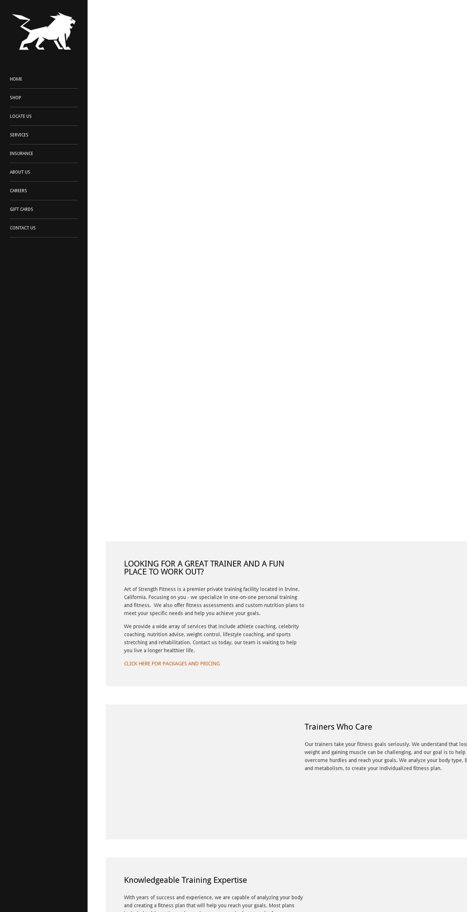 artofstrengthfitness.com shopify website screenshot