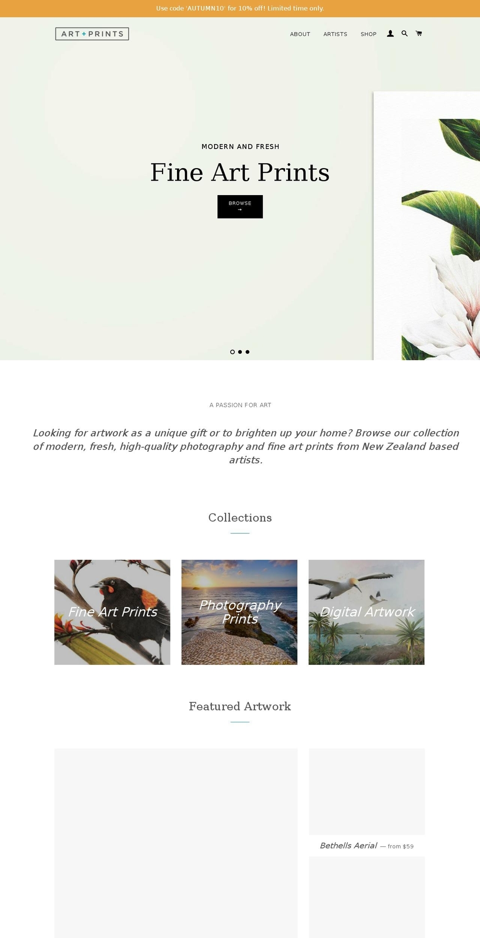 artprints.co.nz shopify website screenshot