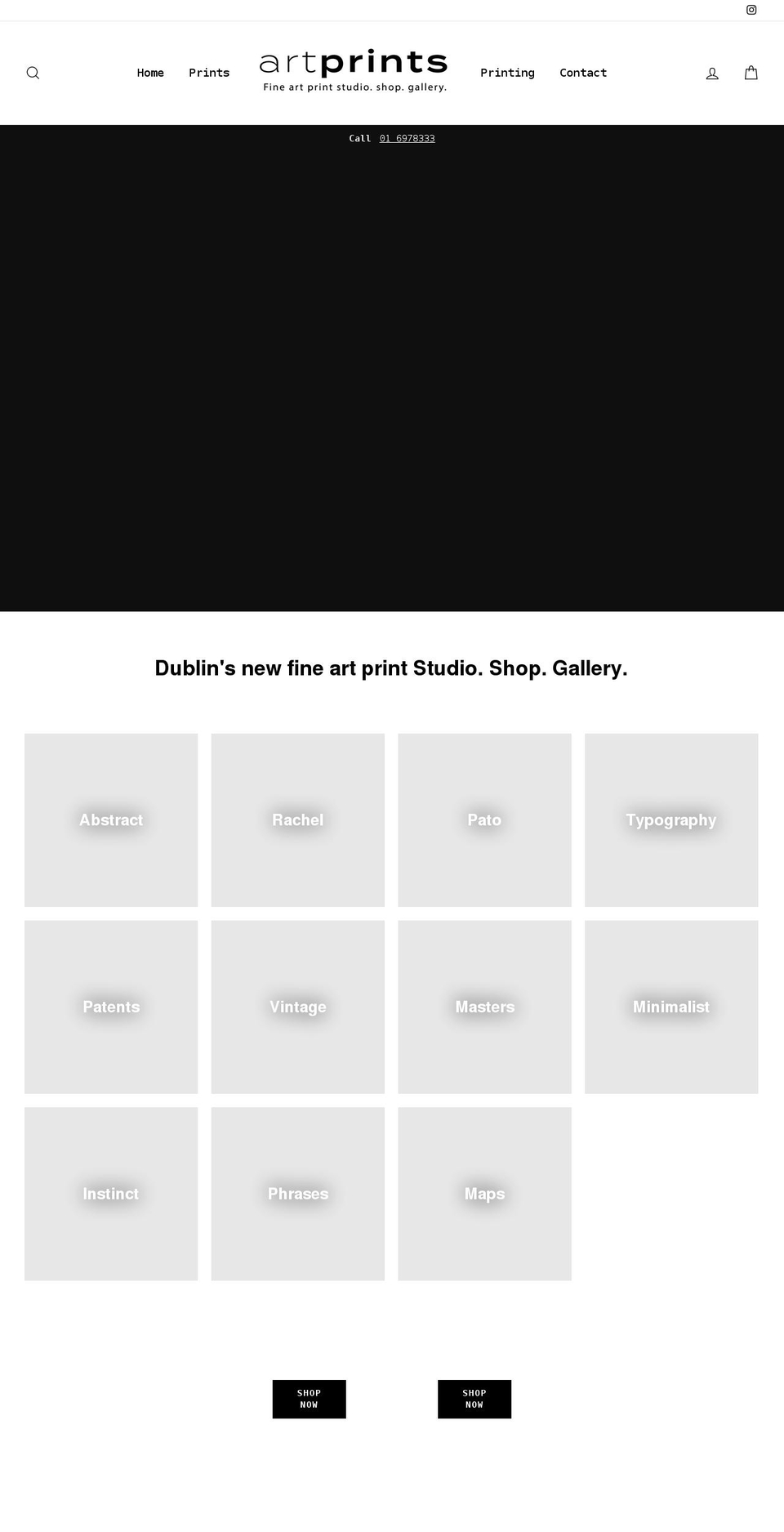 artprints.ie shopify website screenshot