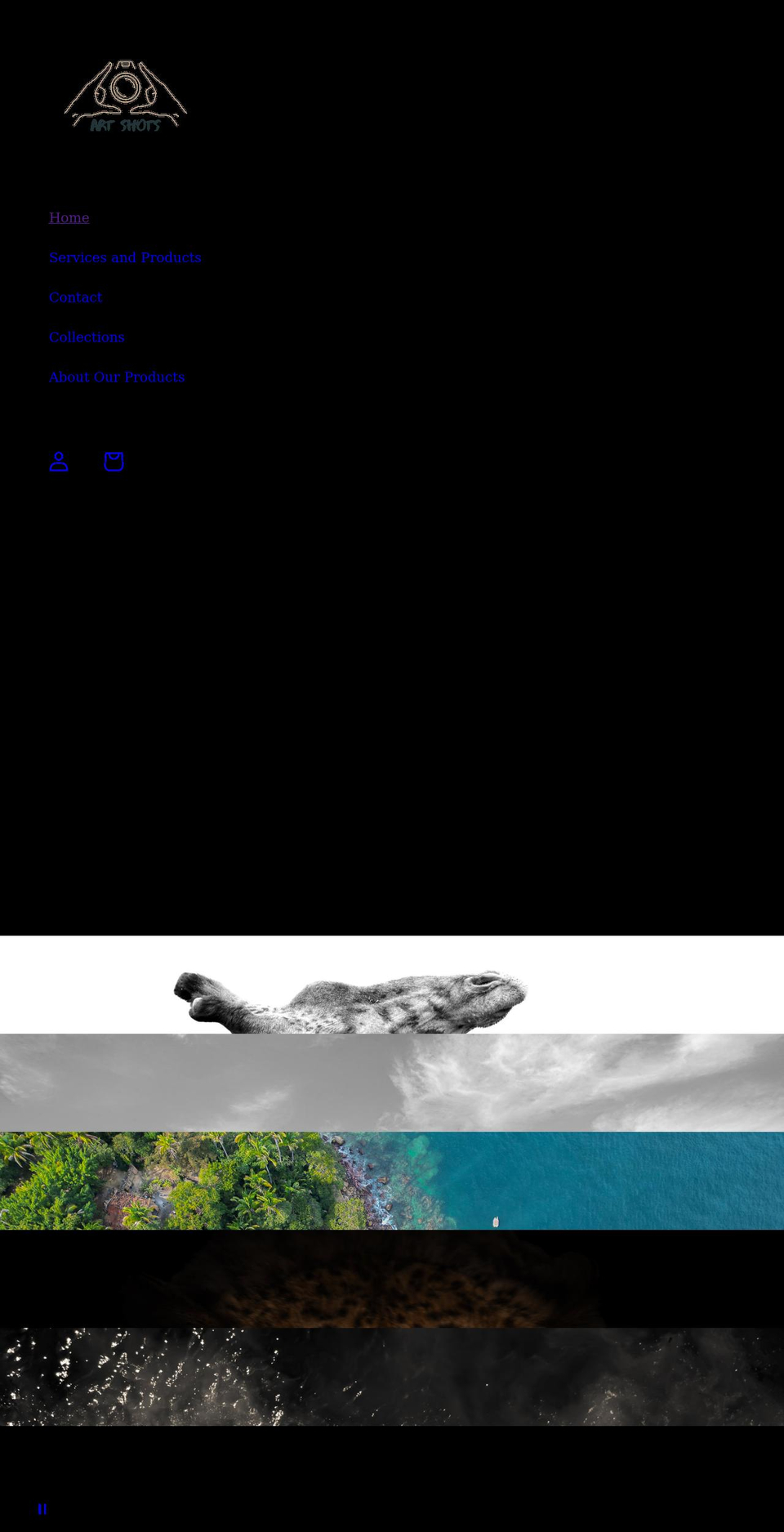 artshots.net shopify website screenshot