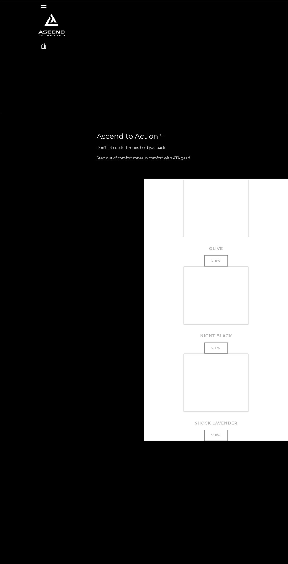 ascendtoaction.com shopify website screenshot